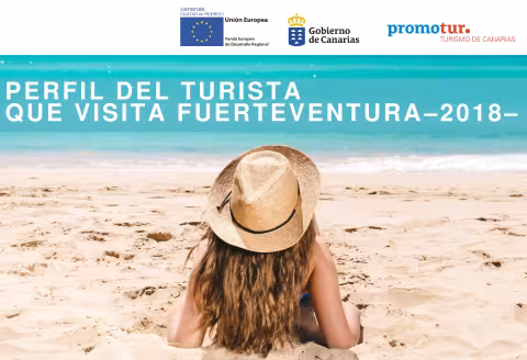 Perfil del turista Fuerteventura 2018.pdf