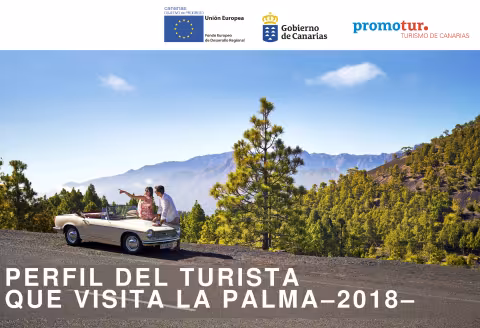 Perfil del turista La Palma 2018.pdf