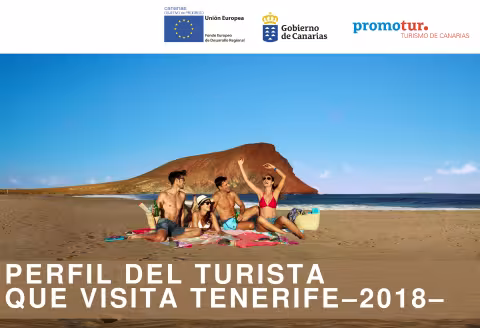 Perfil del turista Tenerife 2018.pdf